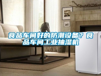企業(yè)新聞食品車間好的防潮設(shè)備？食品車間工業(yè)抽濕機(jī)