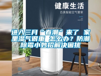 常見問題進入三月“春潮”來了 家里濕氣很重 怎么辦？防潮除霉小妙招解決困擾