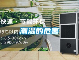 企業(yè)新聞潮濕的危害