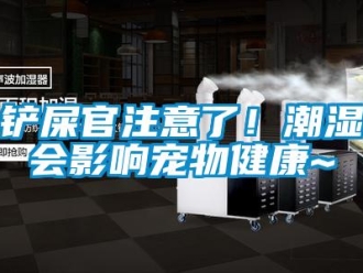 企業新聞鏟屎官注意了！潮濕會影響寵物健康~