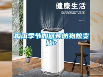 常見問題梅雨季節如何預防狗糧變質？