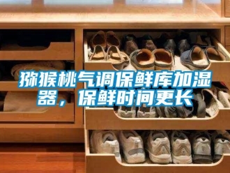 行業新聞獼猴桃氣調保鮮庫加濕器，保鮮時間更長