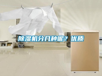 行業(yè)新聞除濕機分幾種呢？優(yōu)質