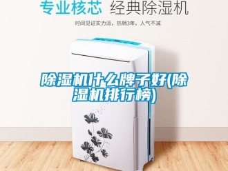 行業新聞除濕機什么牌子好(除濕機排行榜)