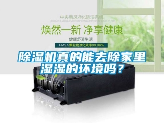 行業新聞除濕機真的能去除家里濕濕的環境嗎？