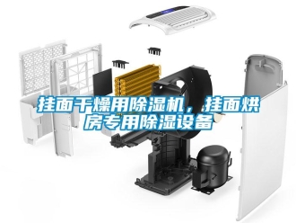 企業新聞掛面干燥用除濕機，掛面烘房專用除濕設備
