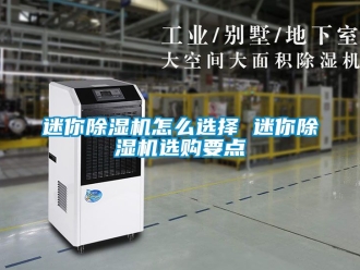 行業新聞迷你除濕機怎么選擇 迷你除濕機選購要點