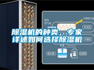 企業(yè)新聞除濕機(jī)的種類，專家詳述如何選擇除濕機(jī)
