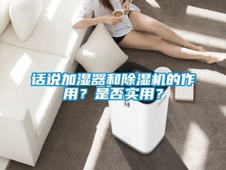 行業(yè)新聞話說加濕器和除濕機(jī)的作用？是否實(shí)用？