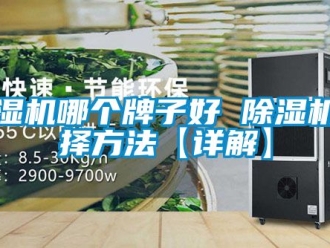行業新聞除濕機哪個牌子好 除濕機選擇方法【詳解】