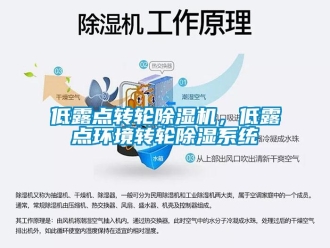 企業新聞低露點轉輪除濕機，低露點環境轉輪除濕系統