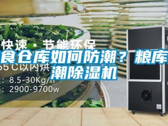 企業(yè)新聞糧食倉(cāng)庫(kù)如何防潮？糧庫(kù)防潮除濕機(jī)
