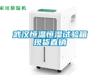 知識百科武漢恒溫恒濕試驗箱現貨直銷