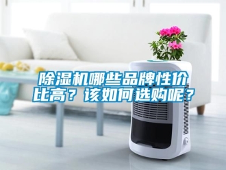企業新聞除濕機哪些品牌性價比高？該如何選購呢？