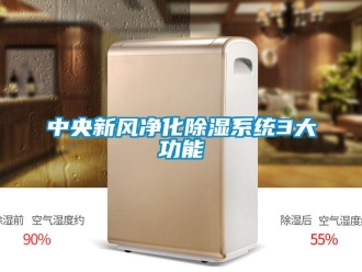 知識(shí)百科中央新風(fēng)凈化除濕系統(tǒng)3大功能