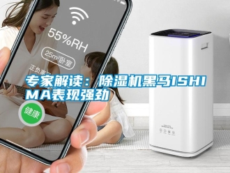 知識百科專家解讀：除濕機黑馬ISHIMA表現強勁