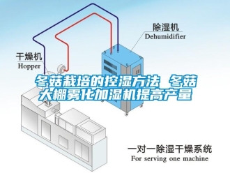 企業(yè)新聞冬菇栽培的控濕方法 冬菇大棚霧化加濕機(jī)提高產(chǎn)量