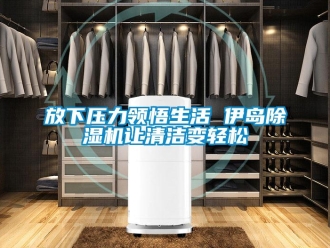 企業(yè)新聞放下壓力領悟生活 伊島除濕機讓清潔變輕松