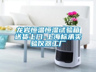 新聞資訊龍巖恒溫恒濕試驗箱送貨上門-上海標承實驗儀器工廠
