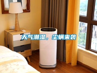 知識(shí)百科天氣潮濕，塵螨來(lái)襲