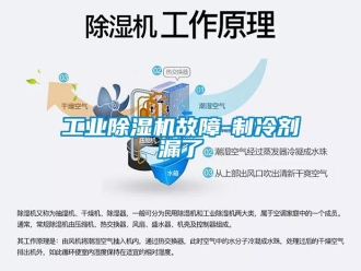 企業(yè)新聞工業(yè)除濕機(jī)故障-制冷劑漏了