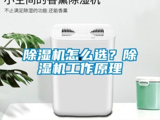 行業(yè)新聞除濕機怎么選？除濕機工作原理