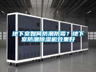 常見問題地下室如何防潮防霉？地下室防潮除濕機效果好