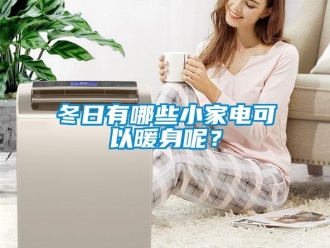 企業(yè)新聞冬日有哪些小家電可以暖身呢？