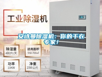 企業新聞安詩曼除濕機：你的干衣專家！