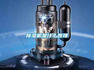 行業新聞除濕機是什么原理