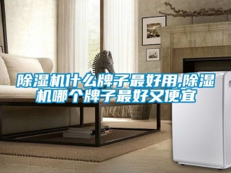 行業(yè)新聞除濕機(jī)什么牌子最好用,除濕機(jī)哪個牌子最好又便宜