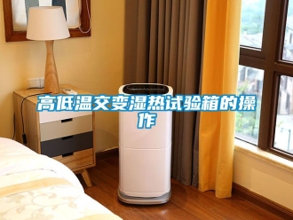 常見問題高低溫交變濕熱試驗箱的操作