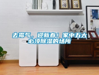 行業新聞去霉氣，迎新春！家中五大必須除濕的場所