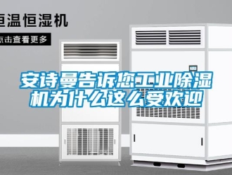 企業新聞安詩曼告訴您工業除濕機為什么這么受歡迎