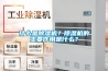 什么是除濕機？除濕機的主要作用是什么？