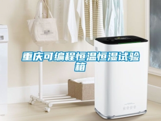 知識(shí)百科重慶可編程恒溫恒濕試驗(yàn)箱