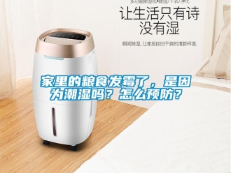 常見問(wèn)題家里的糧食發(fā)霉了，是因?yàn)槌睗駟幔吭趺搭A(yù)防？