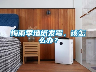 常見問題梅雨季墻紙發霉，該怎么辦？