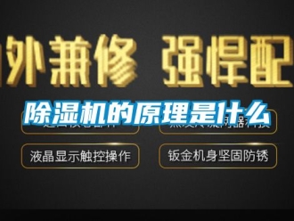 企業新聞除濕機的原理是什么