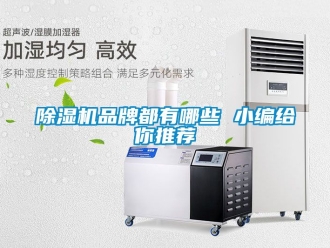企業(yè)新聞除濕機品牌都有哪些 小編給你推薦