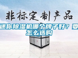 行業新聞迷你除濕機哪個牌子好？要怎么選購