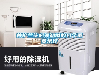 知識百科養(yǎng)護蘭花必須知道的幾個重要條件