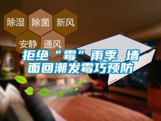 行業新聞拒絕“霉”雨季 墻面回潮發霉巧預防
