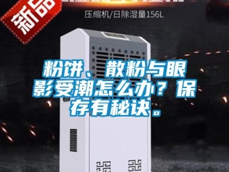 常見問題粉餅、散粉與眼影受潮怎么辦？保存有秘訣。