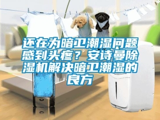 企業新聞還在為暗衛潮濕問題感到頭疼？安詩曼除濕機解決暗衛潮濕的良方