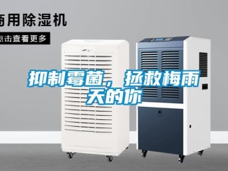 知識百科抑制霉菌，拯救梅雨天的你