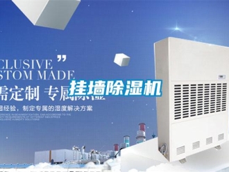 企業新聞掛墻除濕機