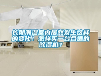 行業新聞長期潮濕室內居然發生這樣的變化！怎樣買一臺合適的除濕機？