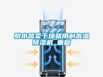 行業新聞脫水蔬菜干燥就用耐高溫除濕機_重復