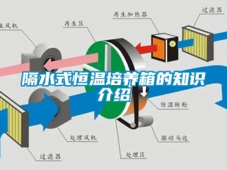 知識百科隔水式恒溫培養(yǎng)箱的知識介紹